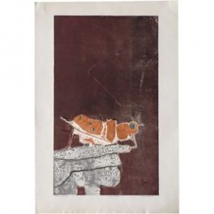 Vinage Color Lithograph by Ru Van Rossem – Insect On Rock – 1962