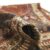 Perski dywan Shiraz – ok. 1880 rok
